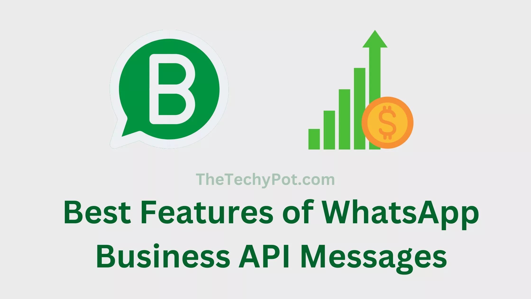 WhatsApp Business API Message Features